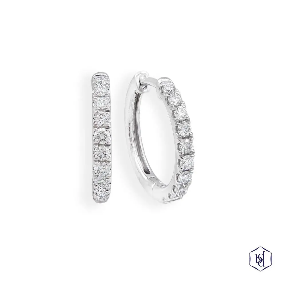 Platinum Skye Hoop Earring Range. 1