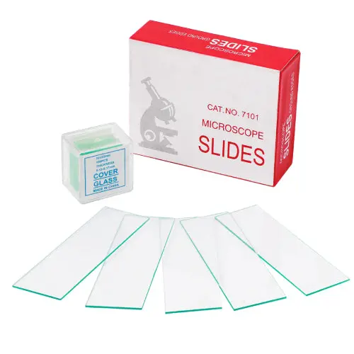 4E's Usa - Slides 1