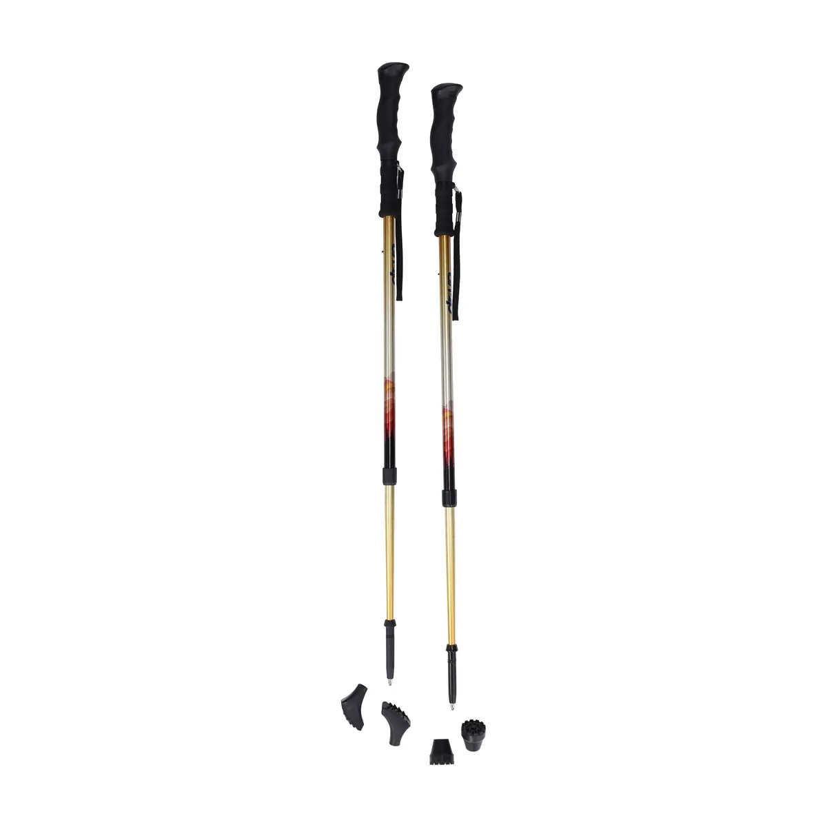 Summit Walking Poles 1