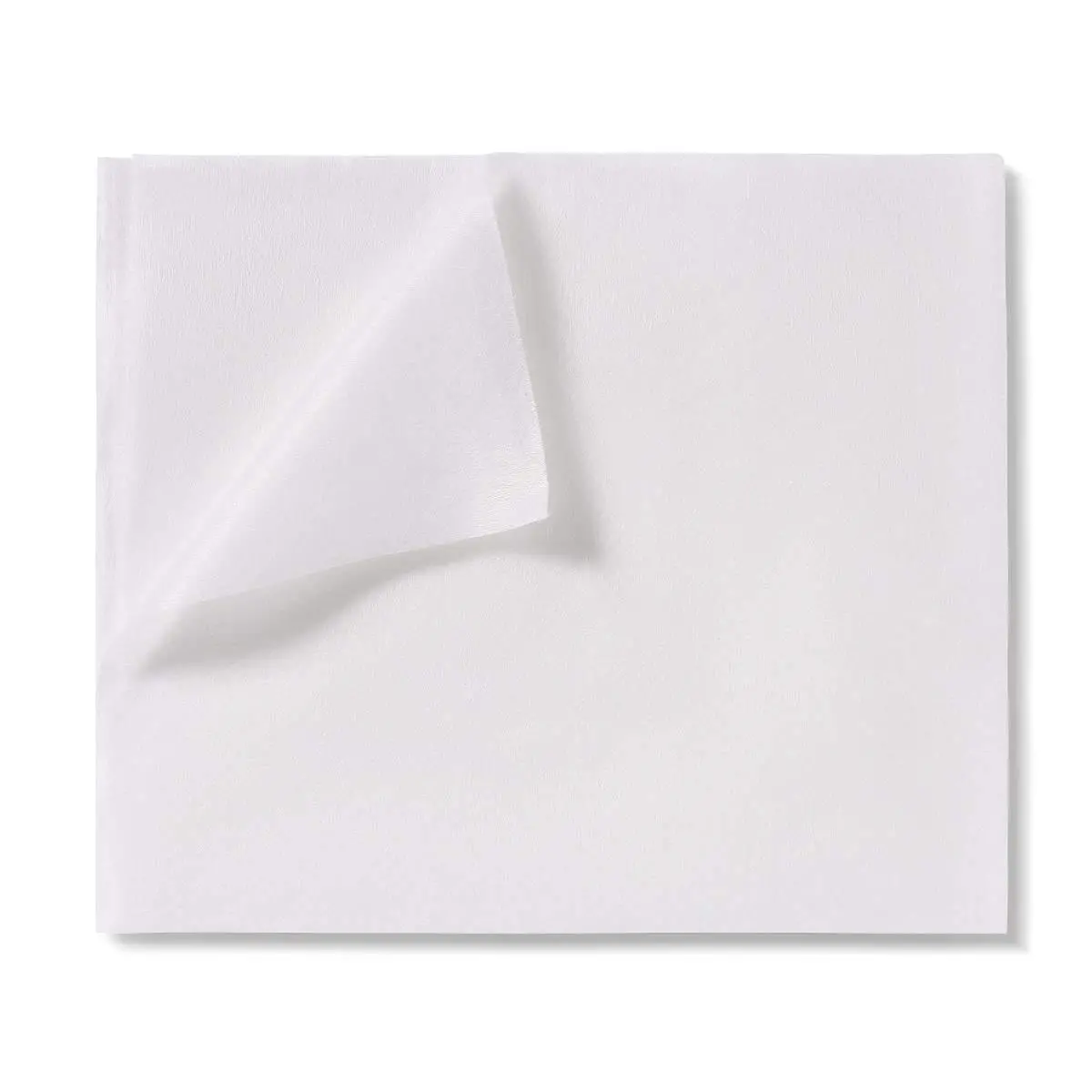 Proheal Disposable Dry Wipes 1